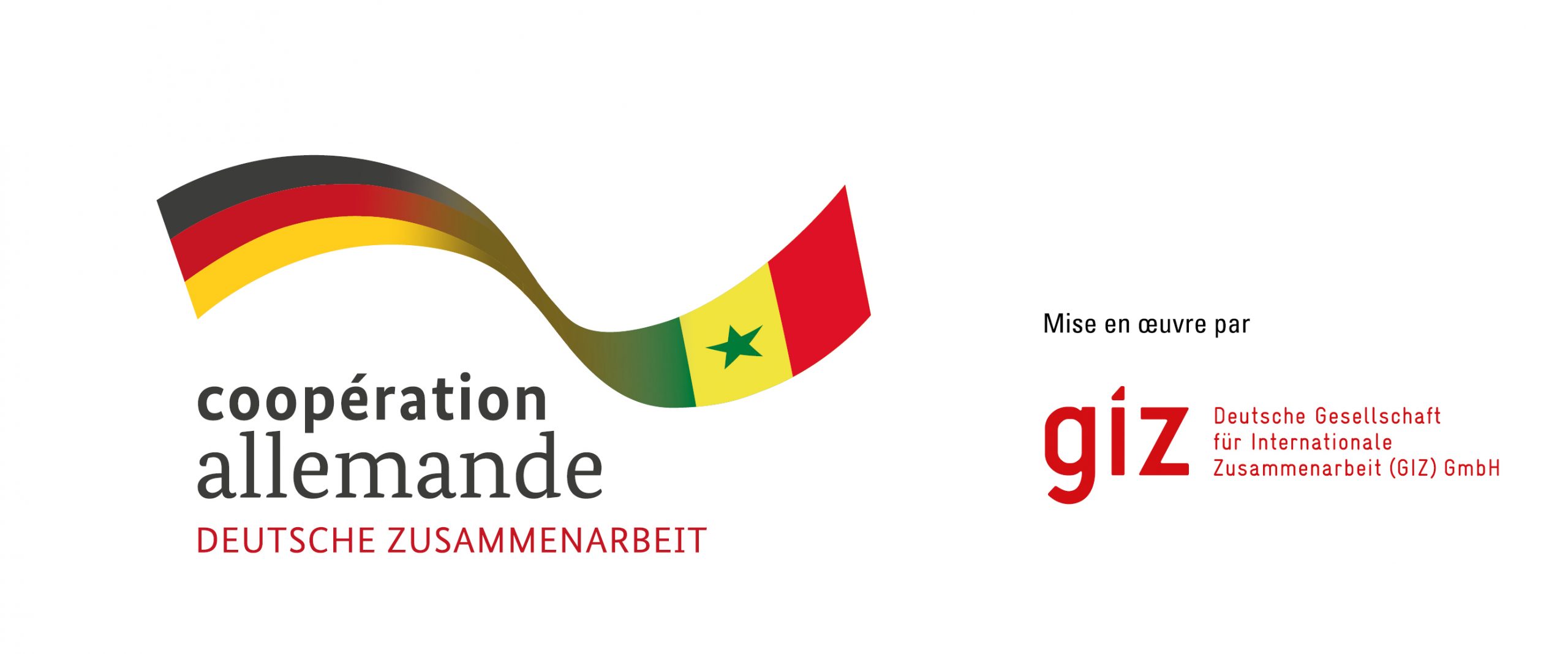 Logoleiste-Senegal-scaled-1