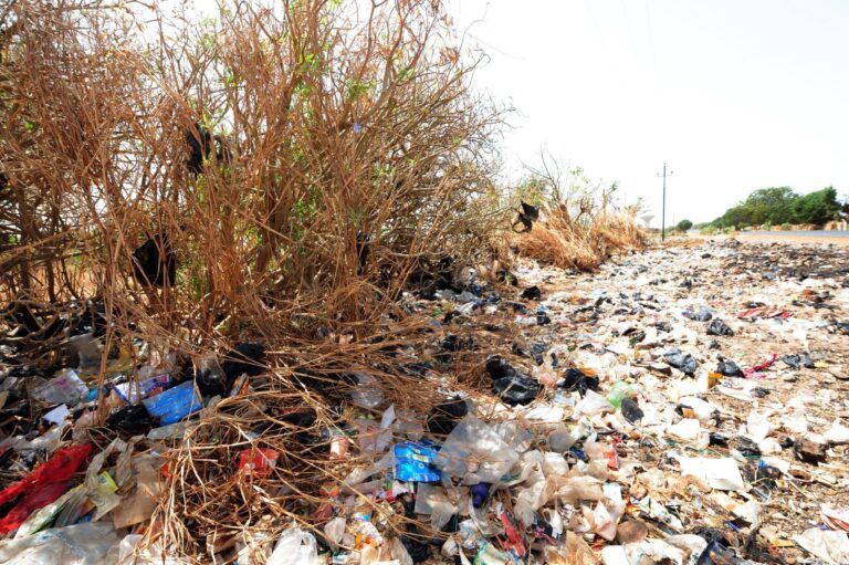 Dépôt sauvage de déchets